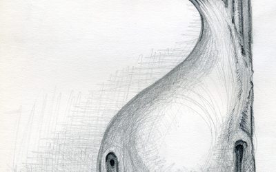 Bulbo-dibujo grafito 2017