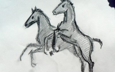 Apuntes de potros. 2008