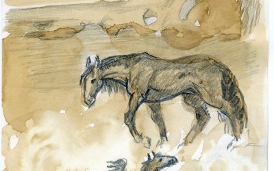 «Apuntes de caballos, El Conde y La Capi» A lápiz y café.