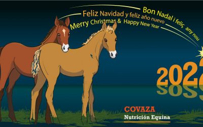 Felicitaciones de navidad 2021-22