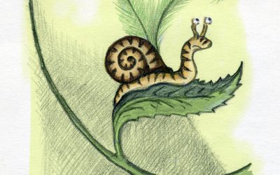 Serpiente y caracol. Apuntes-05-22_001