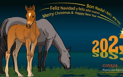 Felicitaciones de navidad 2022-23