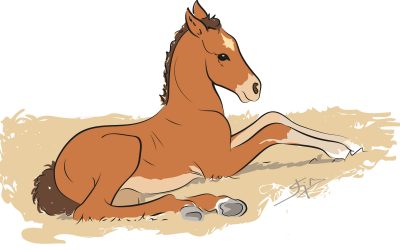 «Potrillo» Ilustración vectorial