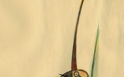 «Ser florero»